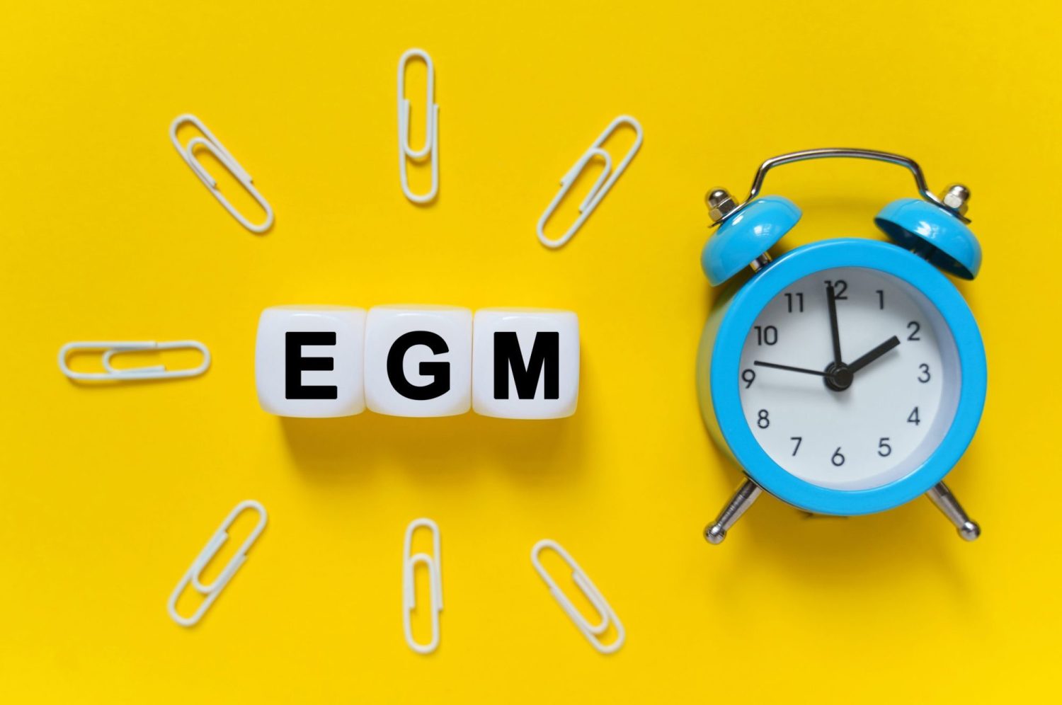 Extraordinary General Meeting & Holiday Get Together